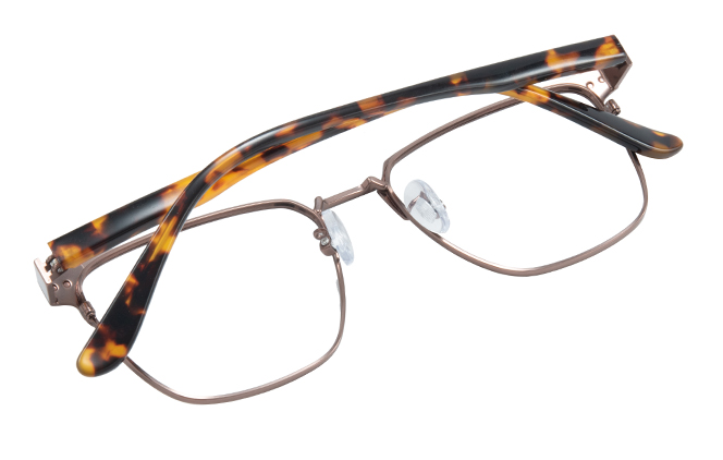 Glasseslit 100308 Browline Spring Hinge Eyeglasses C3, Brown frame, view 3