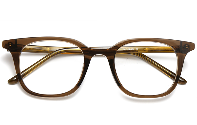 Glasseslit 200631 Rectangle Eyeglasses C5, Brown frame, view 2