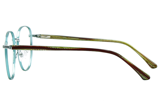 Glasseslit 200720 Round Spring Hinges Eyeglasses C4, Purple frame, view 5