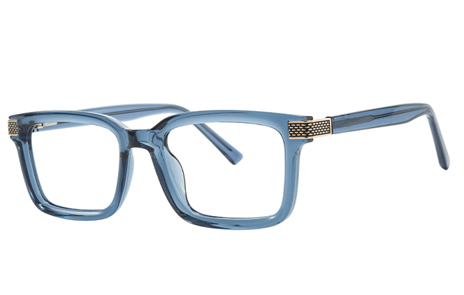 Glasseslit 200898 Rectangle Spring Hinge Eyeglasses C6