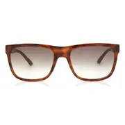Calvin Klein CK21531S 220