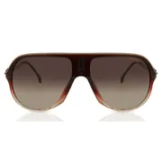 Carrera SAFARI65/N 7W5/HA