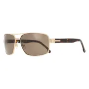 Carrera 8063/S AOZ/SP, Gold frame, Brown lenses, view 2