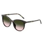 Dolce & Gabbana DG4540 34782C