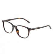 Dolce & Gabbana DG3426 502