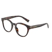 Dolce & Gabbana DG3421 502