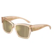 Dolce & Gabbana DG4493 343203