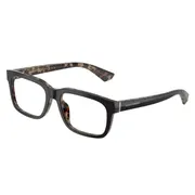 Dolce & Gabbana DG3432 3417