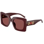 Dolce & Gabbana DG4525B 309175