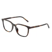 Dolce & Gabbana DG3445 502