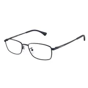 Emporio Armani EA1169D Asian Fit 3160