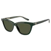 Giorgio Armani AR8221 617331