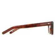 Gucci GG1524S 005, Tortoiseshell frame, Violet lenses, view 3