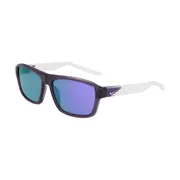 Nike LIVEFREE TEMPO EV24044 553