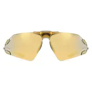 Nike ZEUS EDGE EV24030 700, Gold frame, Gold Mirror lenses, view 1