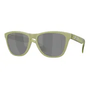 Oakley OO9245 FROGSKINS Asian Fit Polarized 9245E9