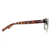 Polaroid PLD 1012/S Polarized PR6/H8, Tortoiseshell frame, Green lenses, view 3