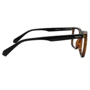 Polaroid PLD D436 086, Tortoiseshell frame, view 3
