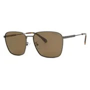 Polaroid PLD 4120/G/S/X Asian Fit KJ1/SP, Grey frame, Brown lenses, view 2