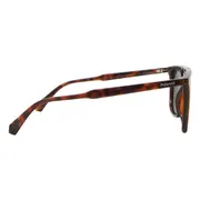 Polaroid PLD 4123/S 086/UC, Tortoiseshell frame, Green lenses, view 3