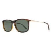 Polaroid PLD 4130/S/X 086/UC, Tortoiseshell frame, Green lenses, view 2