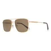 Polaroid PLD 4134/S/X AOZ/SP, Gold frame, Brown lenses, view 2