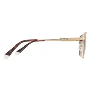 Polaroid PLD 4134/S/X AOZ/SP, Gold frame, Brown lenses, view 3