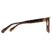 Polaroid PLD D463 086, Tortoiseshell frame, view 3