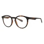 Polaroid PLD 2132/CS with Clip-On N9P/UC, Tortoiseshell frame, view 2