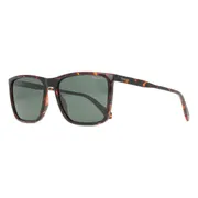 Polaroid PLD 4180/S Polarized 086/UC, Tortoiseshell frame, Green lenses, view 2