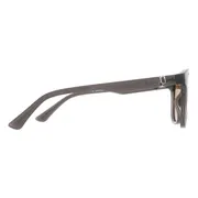 Police SPLF60 Polarized 868P, Grey frame, Brown Polarized lenses, view 3