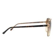 Ray-Ban RB2198 129251, Tortoiseshell frame, view 3
