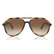Ray-Ban RB4376 710/13