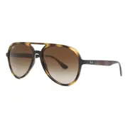 Ray-Ban RB4376 710/13, Tortoiseshell frame, view 2