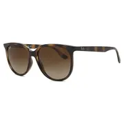 Ray-Ban RB4378 710/13, Tortoiseshell frame, view 2