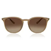 Ray-Ban RB4259F Asian Fit 616613