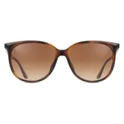 Ray-Ban RB4378F Asian Fit 710/13