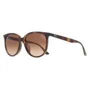 Ray-Ban RB4378F Asian Fit 710/13, Tortoiseshell frame, view 2