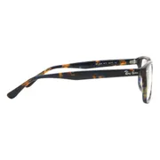 Ray-Ban RX5428 8174, Tortoiseshell frame, view 3