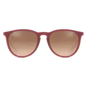 Ray-Ban RB4171 Erika 6815A5