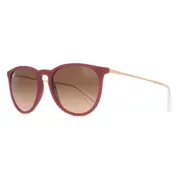Ray-Ban RB4171 Erika 6815A5, Purple frame, view 2
