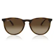 Ray-Ban RB4171 Erika 865/13