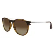 Ray-Ban RB4171 Erika 865/13, Tortoiseshell frame, view 2