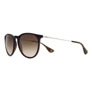 Ray-Ban RB4171 Erika 631513, Blue frame, view 2