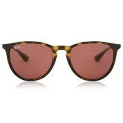 Ray-Ban RB4171 Erika 639175