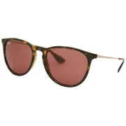 Ray-Ban RB4171 Erika 639175, Tortoiseshell frame, view 2