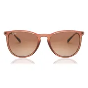Ray-Ban RB4171 Erika 659013