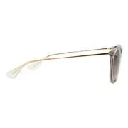 Ray-Ban RB4171 Erika 674413, Brown frame, view 3