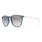 Ray-Ban RB4171 Erika 681311, Blue frame, view 2