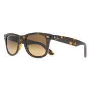 Ray-Ban RB4340 Wayfarer Polarized 710/M2, Tortoiseshell frame, view 2